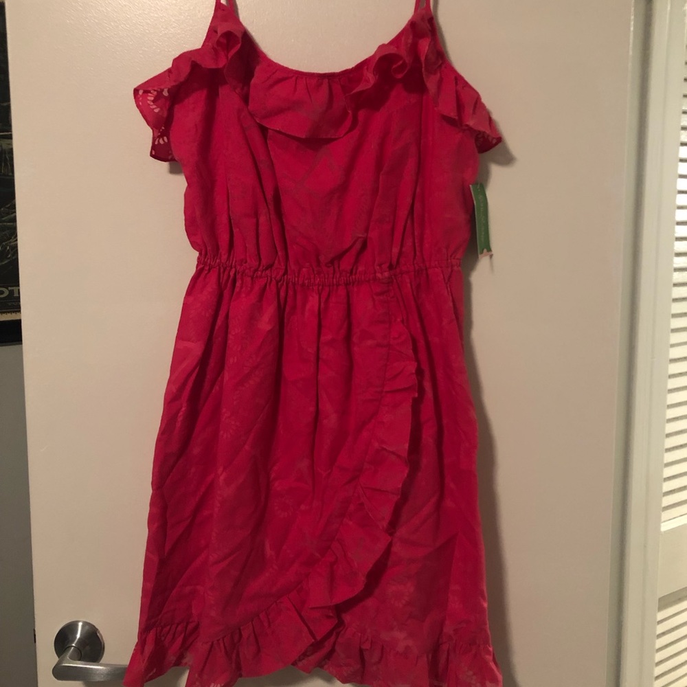 Lilly Pulitzer Pink Party Dress